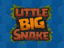 Little Big Snake image